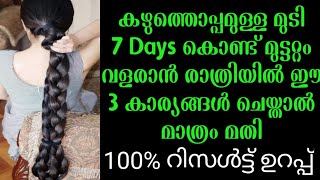 കഴുത്തൊപ്പമുള്ള മുടി 7 Days കൊണ്ട് ഇരട്ടിയായി വളരാൻ രാത്രിയിൽ ഈ 3 കാര്യങ്ങൾ ചെയ്താൽ മതി