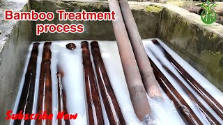 Bamboo treatment process with camical.