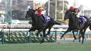 2013 朝日杯フューチュリティステークス 予想