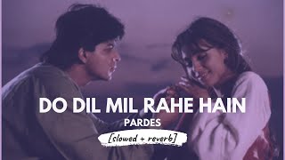 Do Dil Mil Rahe Hain [slowed + reverb] • Music Lyrics