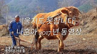 [울지도 못합니다~나훈아] 2017년 동영상