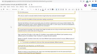 Lizard Module 1 Key