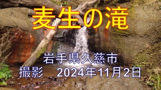 麦生の滝(岩手県久慈市)20241102