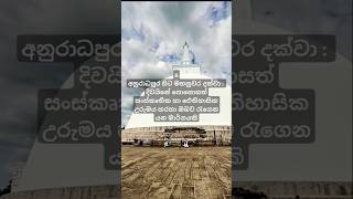 ශ්‍රී ලංකාව තුළ දර්ශනීය රිය පැදවීම සඳහා හොදම මාර්ග 7#shorts #road 🛣️