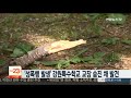 장애학생 성폭행 발생 강원특수학교 교장 숨진 채 발견 연합뉴스tv yonhapnewstv