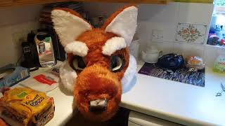 HUGOS HEAD FULLY FURRED! HOPE YOU GUYS LIKE IT!