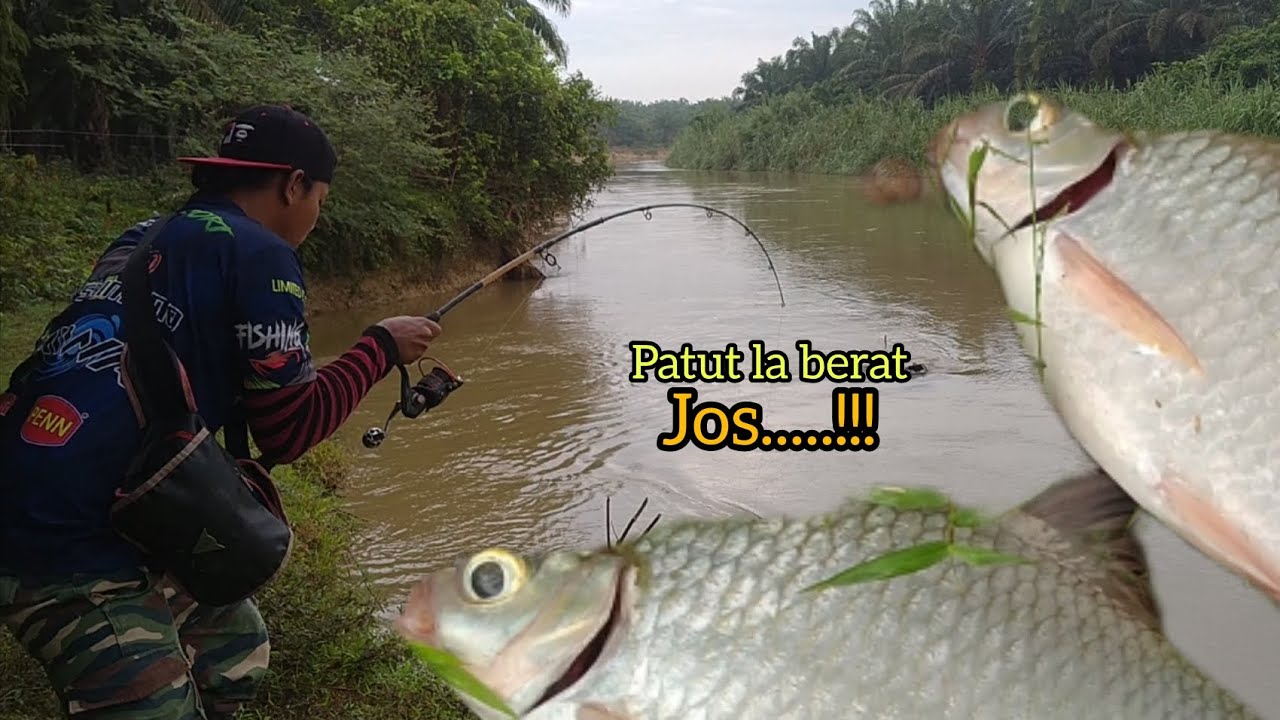 MEMANCING IKAN DI SUNGAI BERNAM.WIHHH!IKAN APA YA?MENARI2 JORAN ...