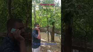 ডিমলা ফরেস্ট