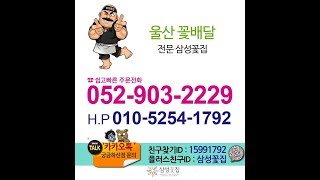 울산꽃집 근조화환 장례식장 축하화환 웨딩홀 개업 꽃배달 추천