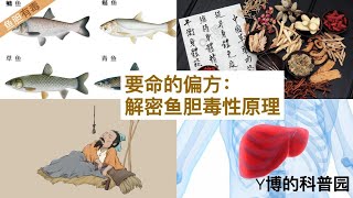 这种偏方可以要你命：鱼胆中毒是怎么回事？