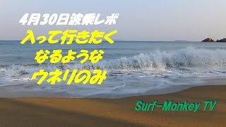 山口萩サーフィン 4月30日 残念ながらウネリのみ ~サーフモンキーTV