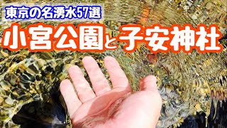 【八王子市散歩】緑豊かな公園と湧水【東京の名湧水57選】