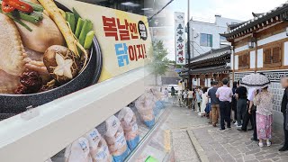 삼복더위 알리는 '초복'…삼계탕집 '문전성시' / 연합뉴스TV (YonhapnewsTV)