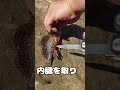 釣ってツマミつくる