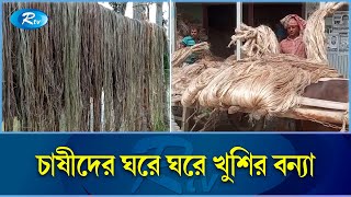 সোনালী আঁশে স্বপ্ন বুনছেন রাজবাড়ীর চাষিরা | Jute | Rajbari | Rtv Exclusive News