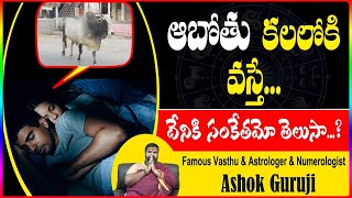 ఆంబోతు కలలోకి వస్తే...దేనికి సంకేతమో తెలుసా? Dream Astrology in Telugu | Ashok Guruji--Shiva Channel