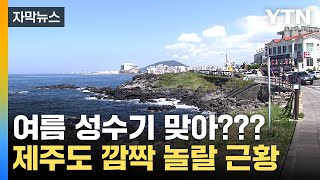 [자막뉴스] \