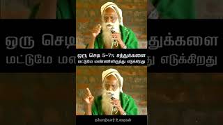 ஒரு செடி 5 - 7% சத்துக்களை மட்டுமே மண்ணிலிருந்து எடுக்கிறது | நம்மாழ்வார் உரைகள் | Nammalvar Uraigal