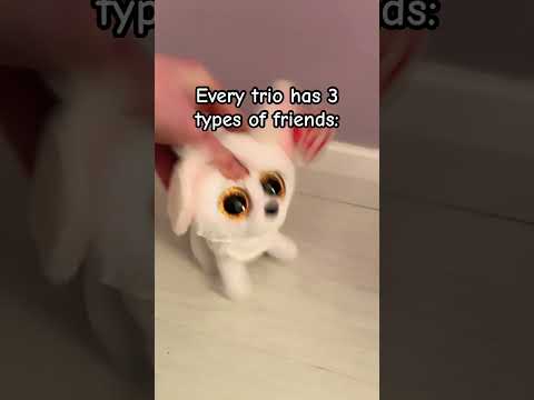 Every Trio Has 3 Types Of Friends Youtube