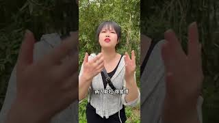 大家说这还能回来不嘛！ 包子还能有我香？