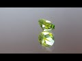 .82ct russian demantoid garnet lot 4424