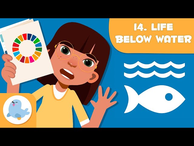 Life Below Water рџњљ Sdg 14 рџђљ Sustainable Development Goals For Kids