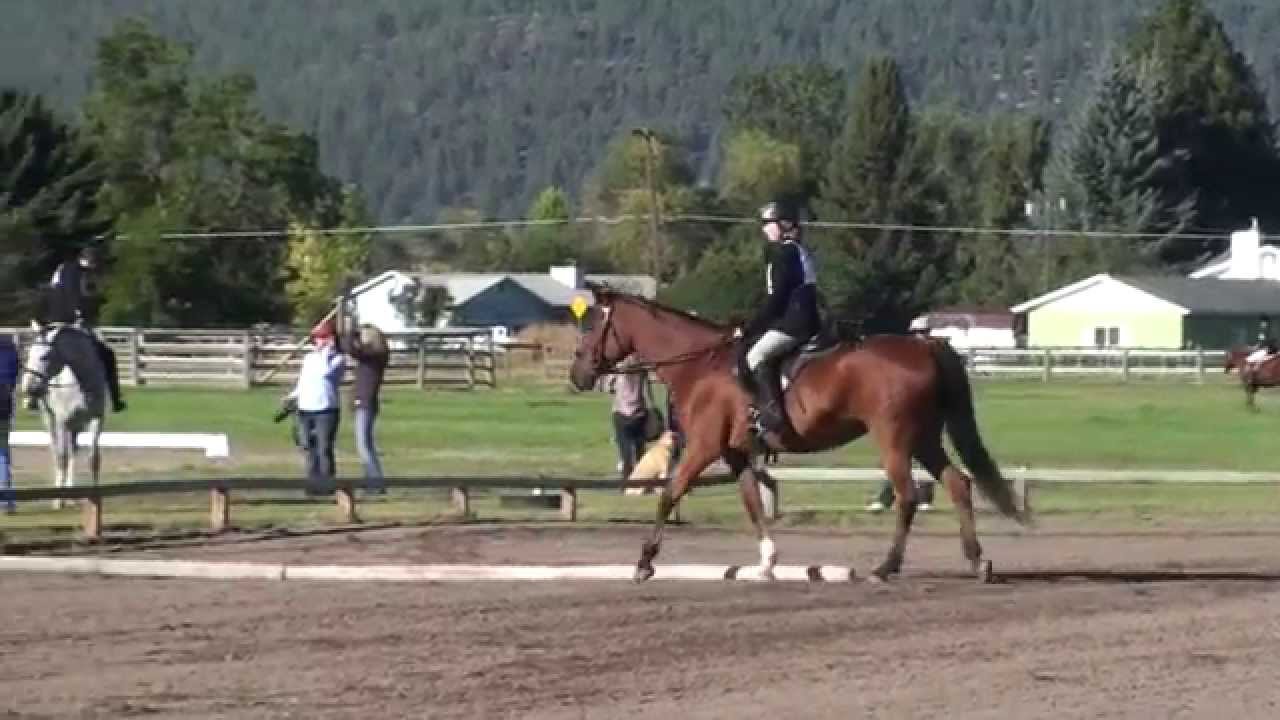 USDF Intro B Dressage Test (09/19/15) - YouTube