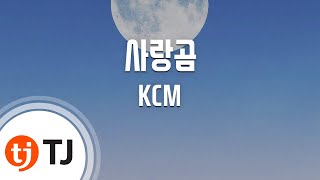 [TJ노래방] 사랑곰 - KCM / TJ Karaoke