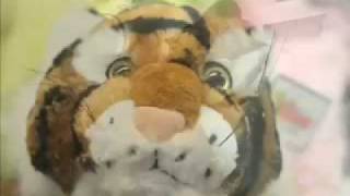 University Program Board Video