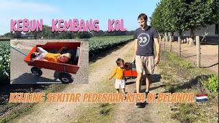 KELILING DESAKU DI BELANDA 🇳🇱|| ISINYA SAPI DAN KEBUN KOL