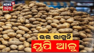 ଉତ୍ତର ପ୍ରଦେଶ ଆଳୁକୁ ନେଇ ଚିନ୍ତା :Customers Are Not Buying UP Potatoes|Potato Rate In Odisha| Odia News