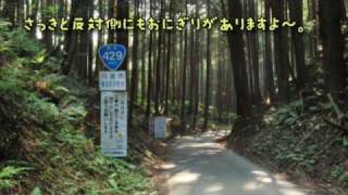 【車載動画】酷道429号線を走ってみた　Part11