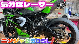 【ニンジャ250SL】バックステップ導入で気分はレーサー‼