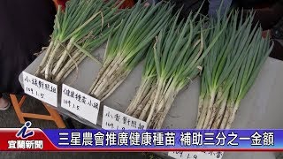 三星農會推廣健康種苗 補助三分之一金額