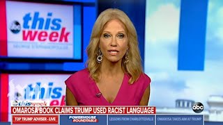 Kellyanne Conway struggles naming a black White House staffer