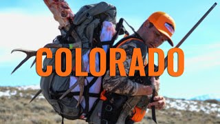 WHAT YOU NEED TO KNOW - Colorado Application Strategy