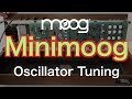 Minimoog Oscillator Tuning