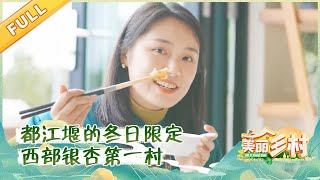 都江堰古城入冬：银杏美景、白果炖鸡、Q弹乌鱼 | 四川旅游攻略Sichuan Travel【美丽乡村】