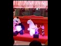 Adult Wear Giant Panda Blow Up Costume  Inflatable Furry Polar Bear Mascot Suit Dancing on the Stage