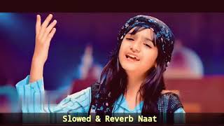 Nawal Khan | Chor Fikr Duniya Ki | New Naat 2023 | Official Video | Heera Gold