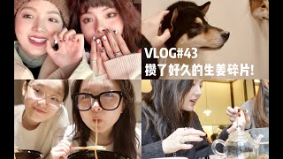 VLOG#43 见到好多朋友! 从12月攒到3月的快乐日常｜超长生姜碎片