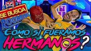 El Werevertumorro llegó a vivir conmigo: SE BUSCA ROOMIE #4