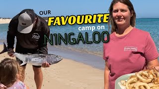 South Lefroy Squid, Tuna and the best beach camping in AUS!!!  ep31