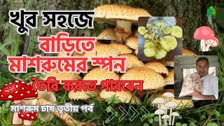 খুব সহজে বাড়িতে কিভাবে মাশরুমের স্পন তৈরি করবেন।