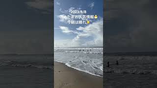 2023/8/8 ぴよたまお天気情報🐣 今朝は晴れ☀️ まだまだ荒れた高波🌊 #shorts #御宿