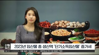 [11월 산림뉴스] 2023년 단기소득임산물 생산액 전년 대비 증가