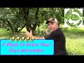 How to Grow Avocados in Your Backyard - 3 Ways