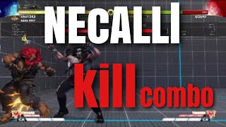 スト５　ネカリ　キルコンボ　Street Fighter® V　NECALLI  kill combo