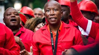 South African Politician 'Julius Malema' Defends Nigerians From Xenophobia In Powerful Speech