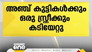 കണ്ണൂർ പയ്യന്നൂരിൽ തെരുവുനായയുടെ ആക്രമണം; അഞ്ച് പേർക്ക് കടിയേറ്റു